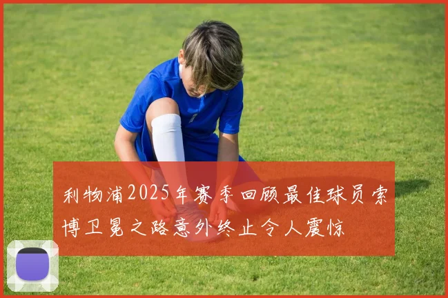 利物浦2025年赛季回顾最佳球员索博卫冕之路意外终止令人震惊