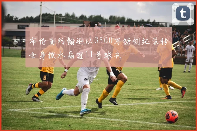 布伦南约翰逊以3500万镑创纪录转会身披水晶宫11号球衣