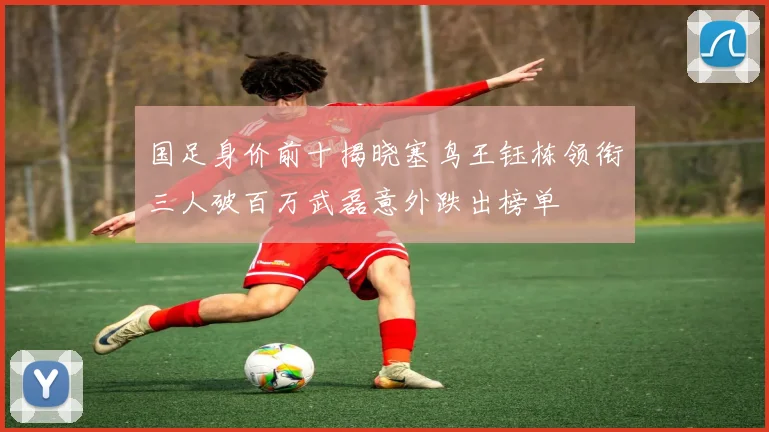 国足身价前十揭晓塞鸟王钰栋领衔三人破百万武磊意外跌出榜单